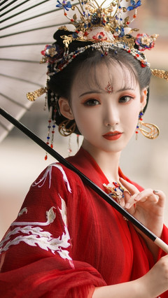 梦中的春光启示未删减资源